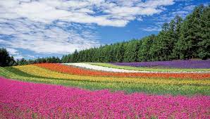 Northern Hokkaido